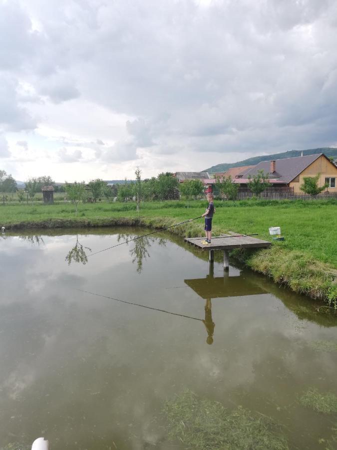 Kacso Apartma Ocna de Sus Zewnętrze zdjęcie
