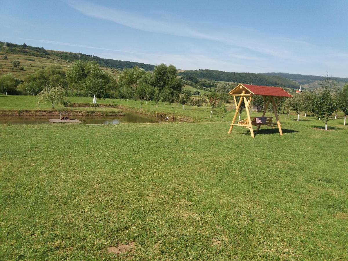 Kacso Apartma Ocna de Sus Zewnętrze zdjęcie