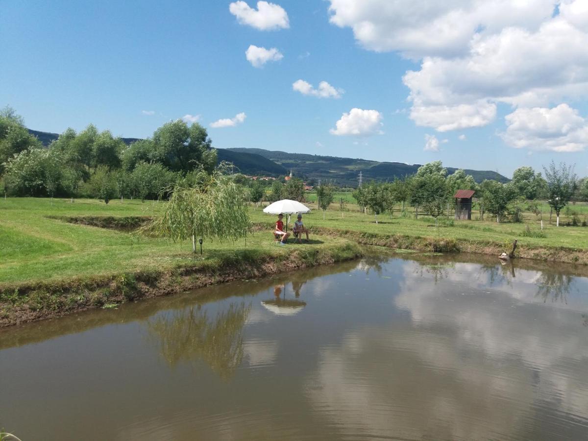 Kacso Apartma Ocna de Sus Zewnętrze zdjęcie